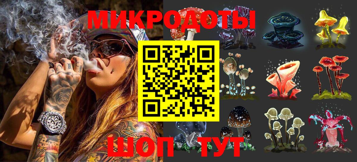 Галлюциногенные грибы Cubensis Фрязино