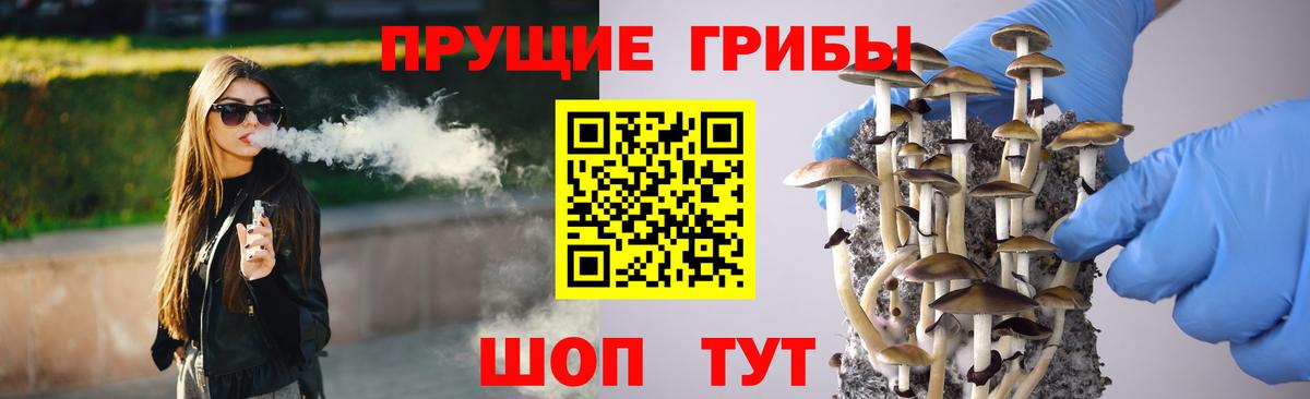 Фрязино  Галлюциногенные грибы Psilocybe  Вход с VPN  Галлюциногенные грибы мицелий 